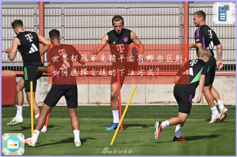 世界杯冠军竞猜平台有哪些区别，如何选择合适的下注方式？