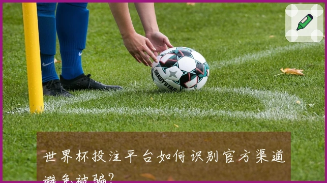 世界杯投注平台如何识别官方渠道避免被骗？
