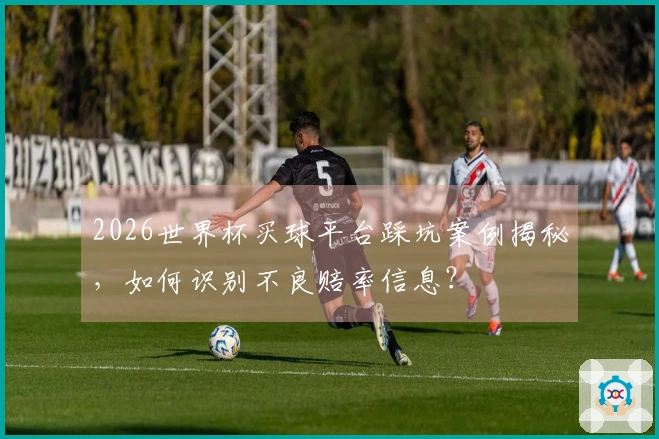 2026世界杯买球平台踩坑案例揭秘，如何识别不良赔率信息？