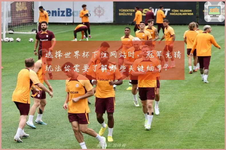 选择世界杯下注网站时，冠军竞猜玩法你需要了解哪些关键细节？