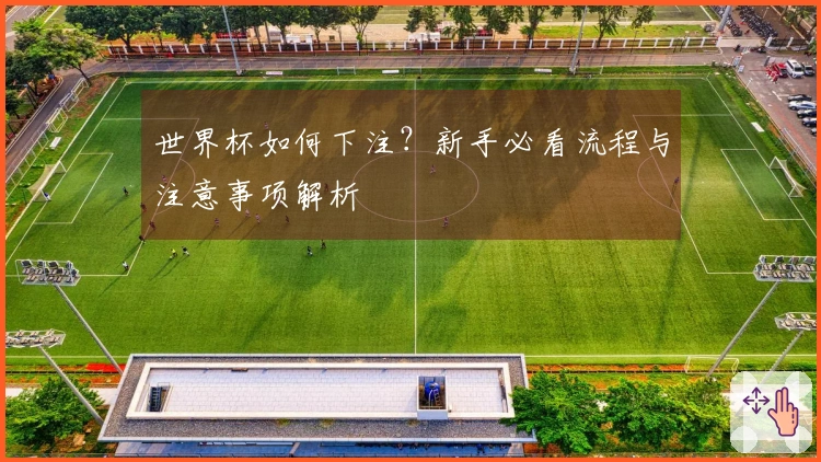 世界杯如何下注？新手必看流程与注意事项解析