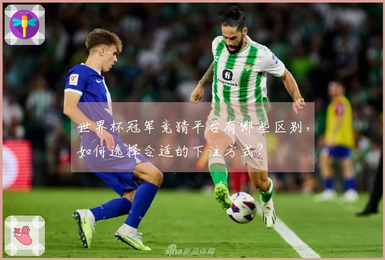 世界杯冠军竞猜平台有哪些区别，如何选择合适的下注方式？